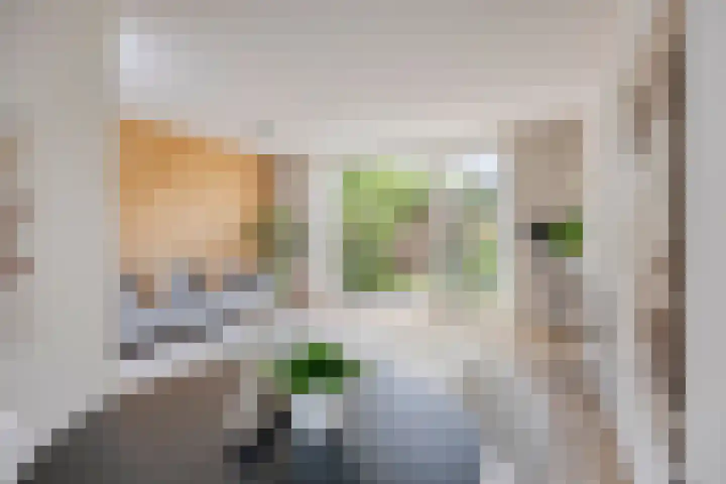 Leostraat 47 Eindhoven thumbnail 4