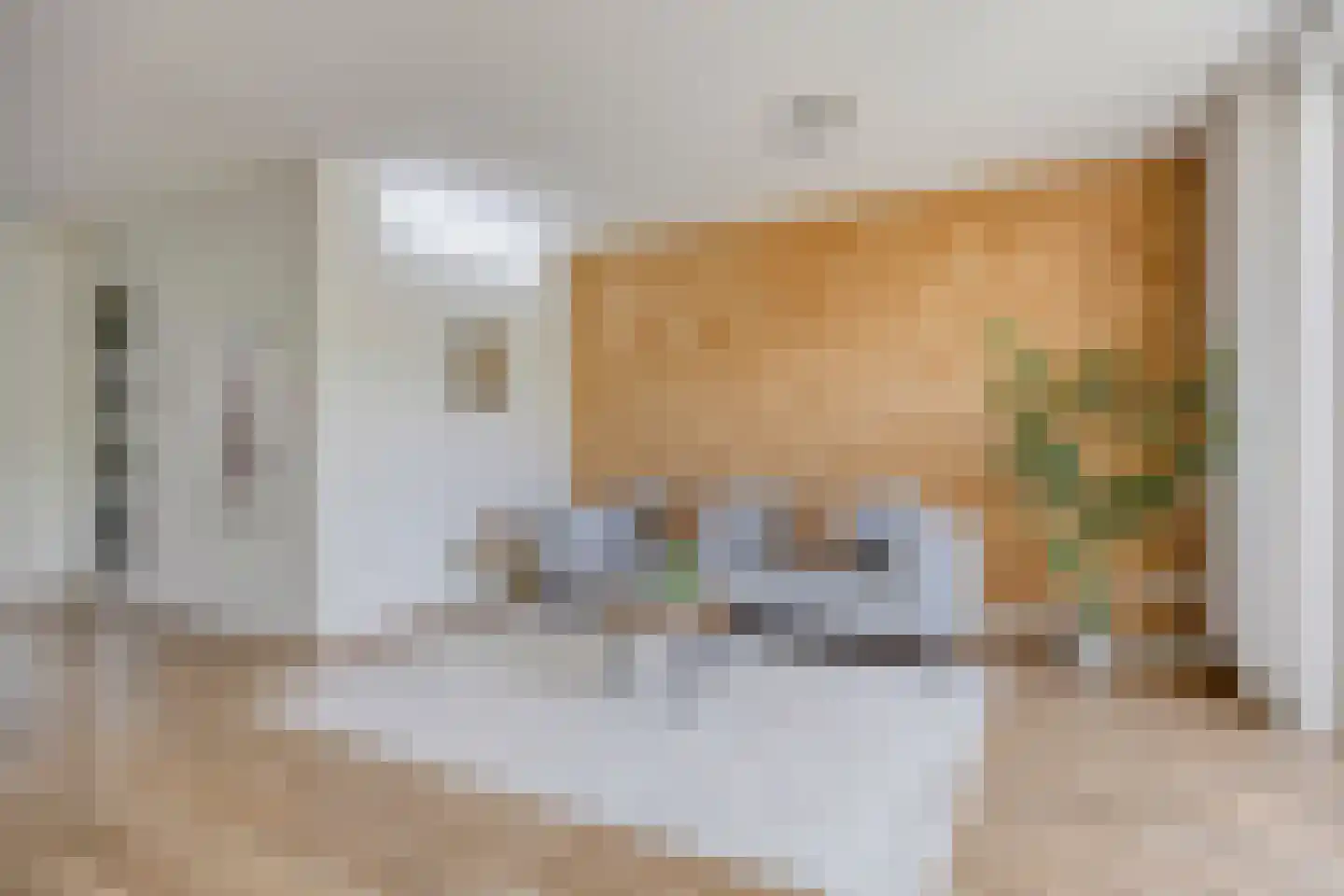 Leostraat 47 Eindhoven thumbnail 5
