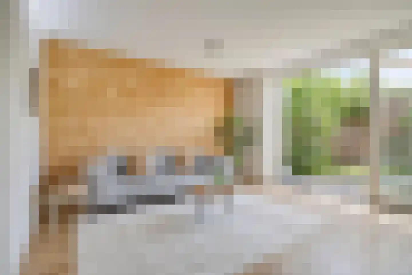 Leostraat 47 Eindhoven thumbnail 6