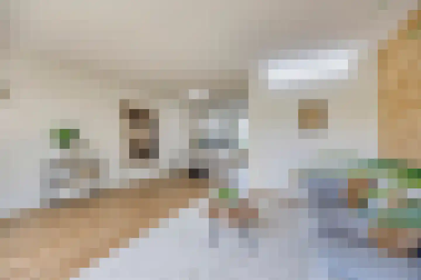 Leostraat 47 Eindhoven thumbnail 7