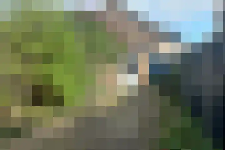 Leostraat 72 D Eindhoven thumbnail 8