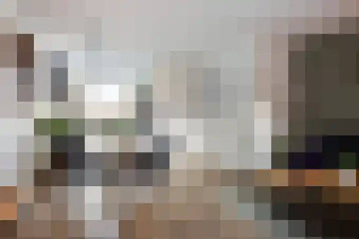 Leostraat 83 Eindhoven thumbnail 12