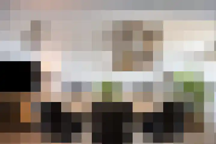 Leostraat 83 Eindhoven thumbnail 14