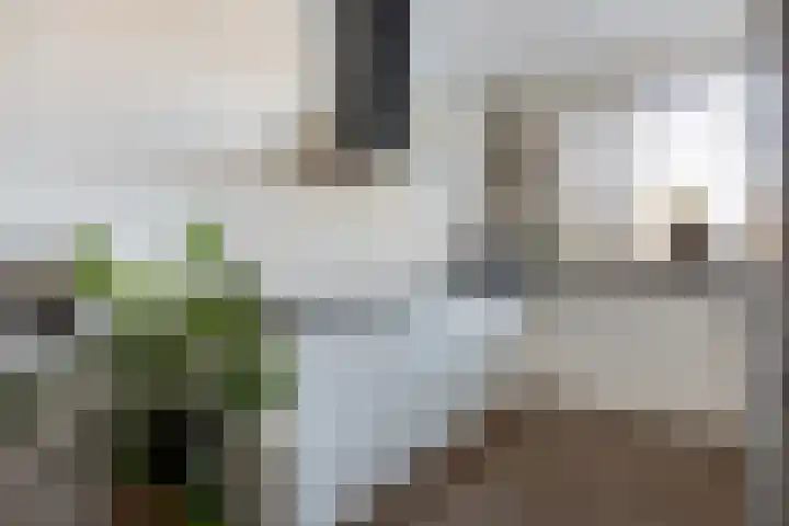Leostraat 83 Eindhoven thumbnail 15