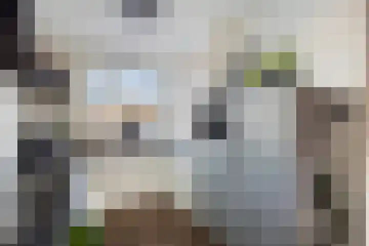 Leostraat 83 Eindhoven thumbnail 16