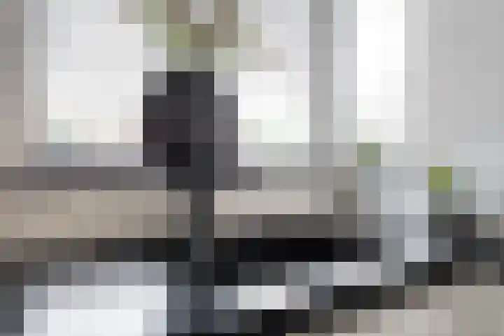 Leostraat 83 Eindhoven thumbnail 19