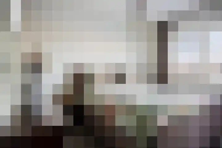 Leostraat 83 Eindhoven thumbnail 24