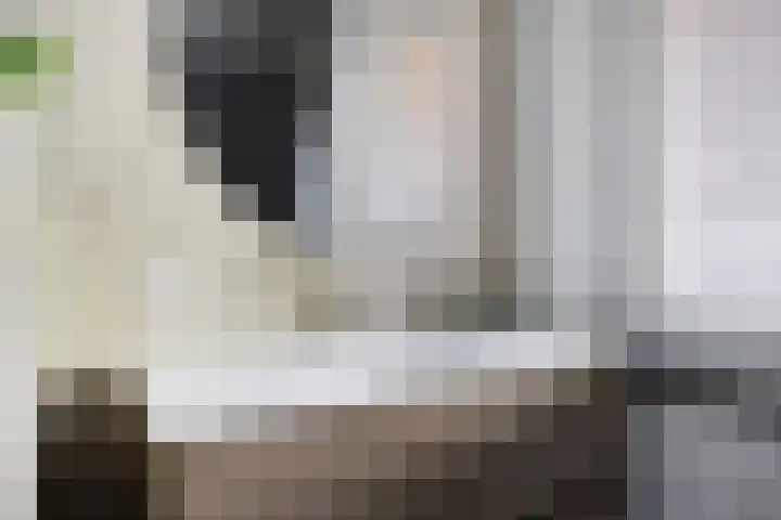 Leostraat 83 Eindhoven thumbnail 30