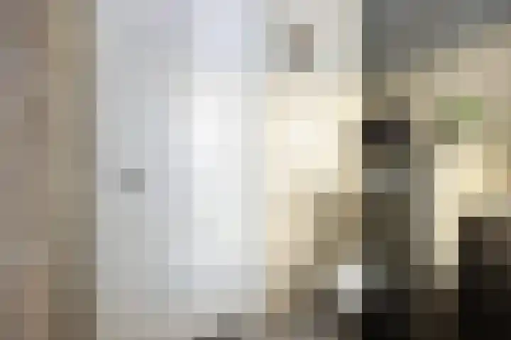 Leostraat 83 Eindhoven thumbnail 32
