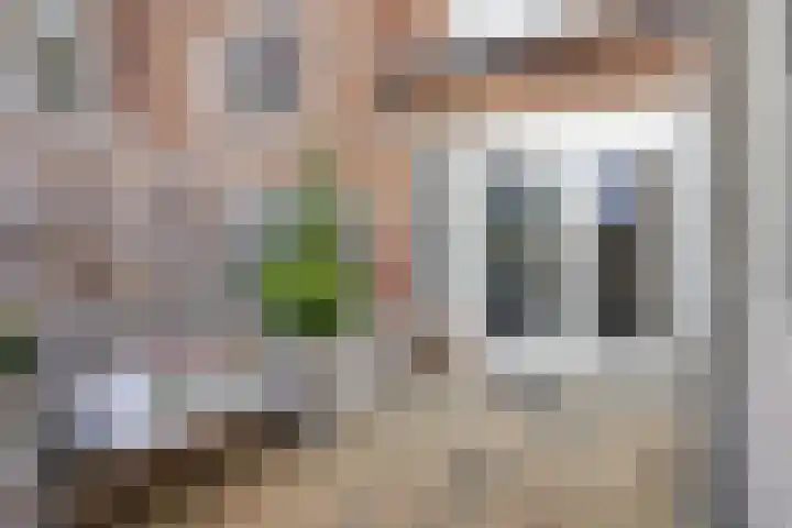 Leostraat 83 Eindhoven thumbnail 36
