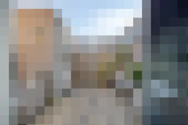 Leostraat 83 Eindhoven thumbnail 40