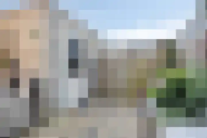 Leostraat 83 Eindhoven thumbnail 41