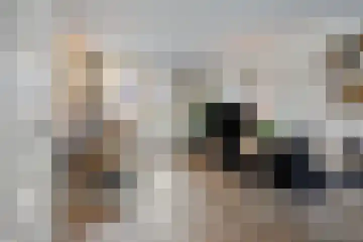 Leostraat 83 Eindhoven thumbnail 8