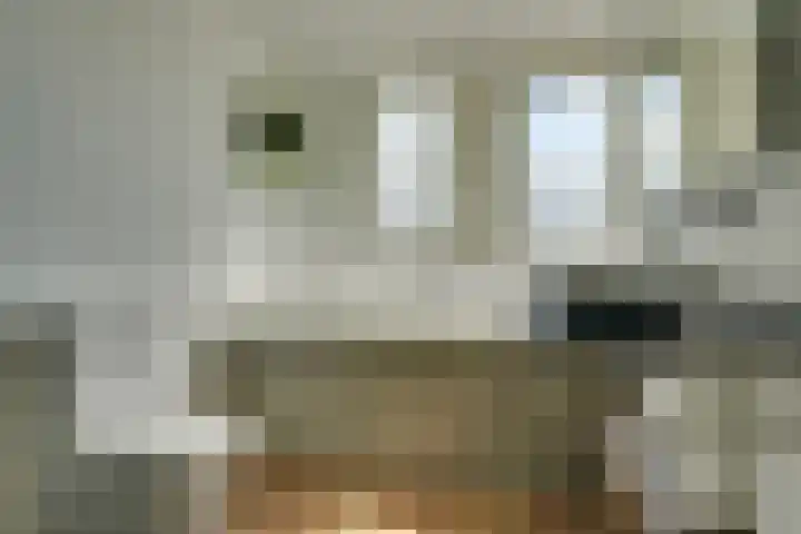 Leostraat 84 Eindhoven thumbnail 20