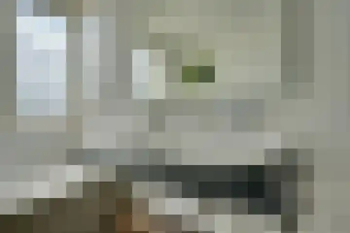 Leostraat 84 Eindhoven thumbnail 21