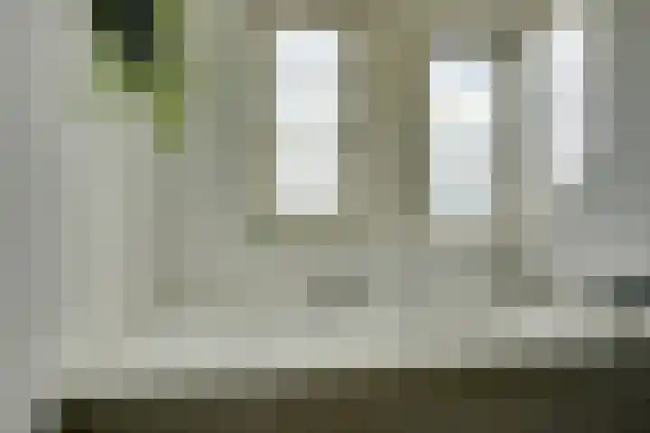 Leostraat 84 Eindhoven thumbnail 22