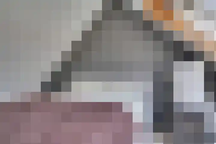 Leostraat 84 Eindhoven thumbnail 24