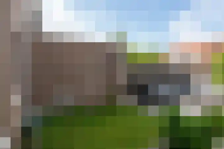Leostraat 84 Eindhoven thumbnail 27