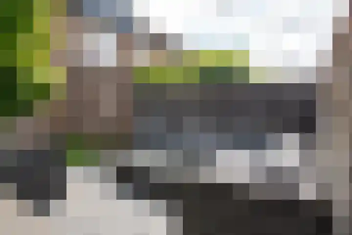 Leostraat 84 Eindhoven thumbnail 30