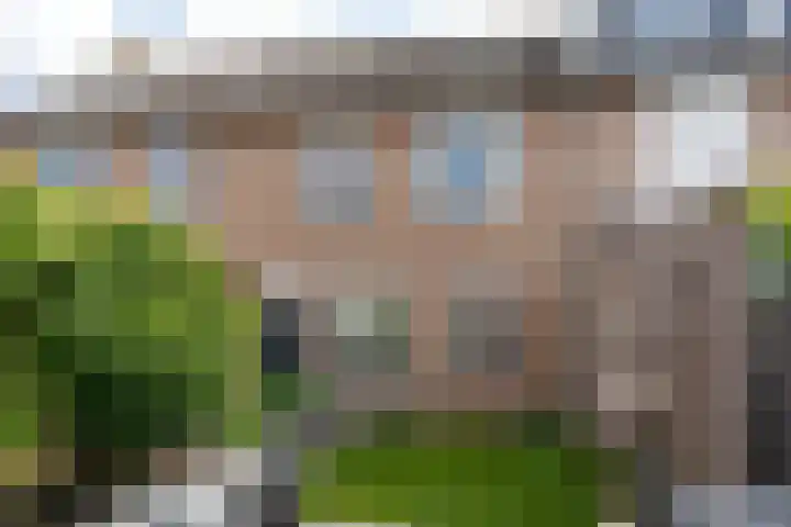 Leostraat 84 Eindhoven thumbnail 31