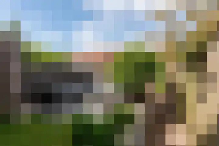 Leostraat 84 Eindhoven thumbnail 4