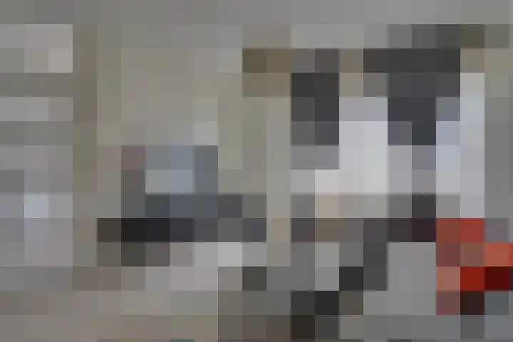 Leostraat 84 Eindhoven thumbnail 5