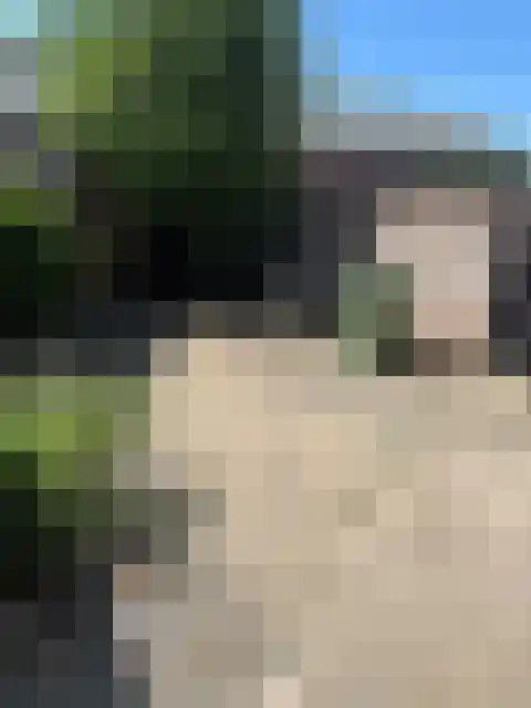 Leostraat 99 Eindhoven thumbnail 9