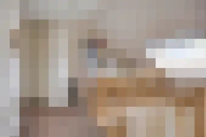 Lepehof 4 Sas van Gent thumbnail 14