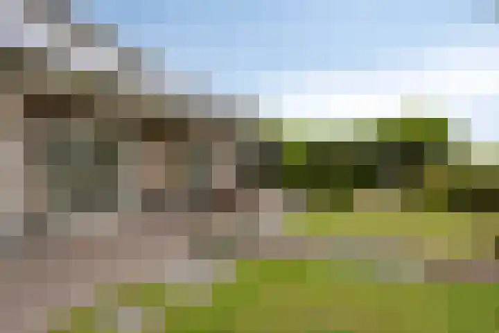 Lepehof 4 Sas van Gent thumbnail 17