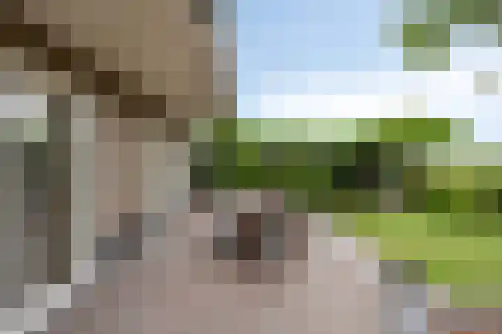 Lepehof 4 Sas van Gent thumbnail 18