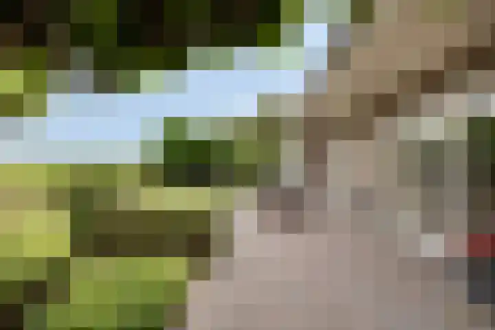 Lepehof 4 Sas van Gent thumbnail 19