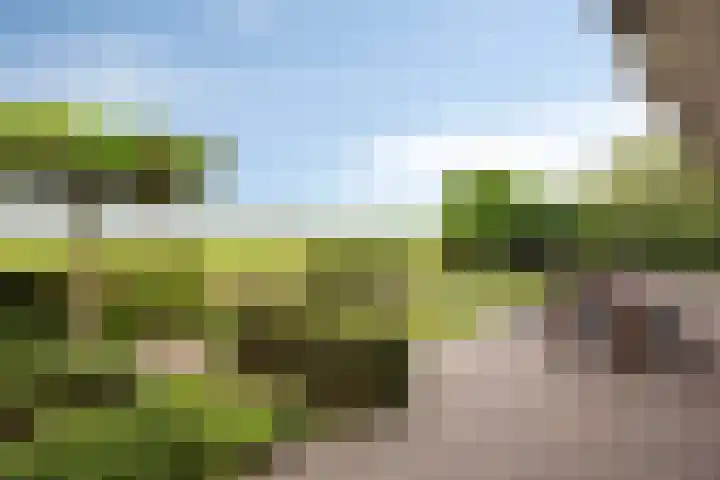 Lepehof 4 Sas van Gent thumbnail 20