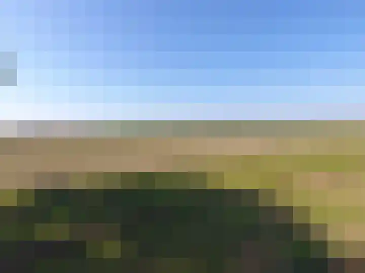Lepehof 4 Sas van Gent thumbnail 21