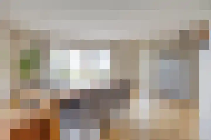 Lepehof 4 Sas van Gent thumbnail 6