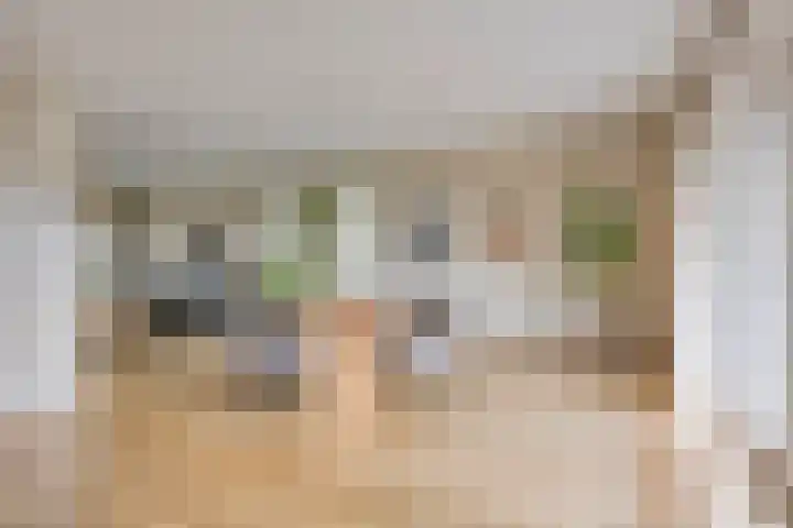 Lepehof 4 Sas van Gent thumbnail 7