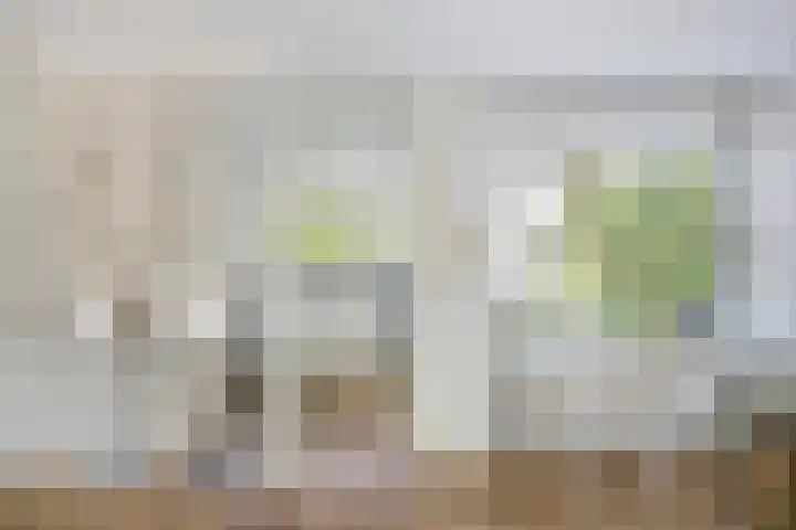 Lepelaar 1 Ouderkerk aan de Amstel thumbnail 10