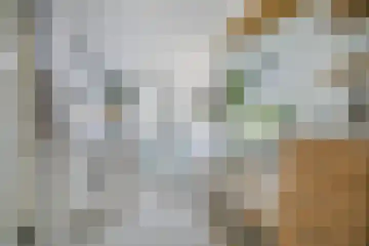 Lepelaar 1 Ouderkerk aan de Amstel thumbnail 17