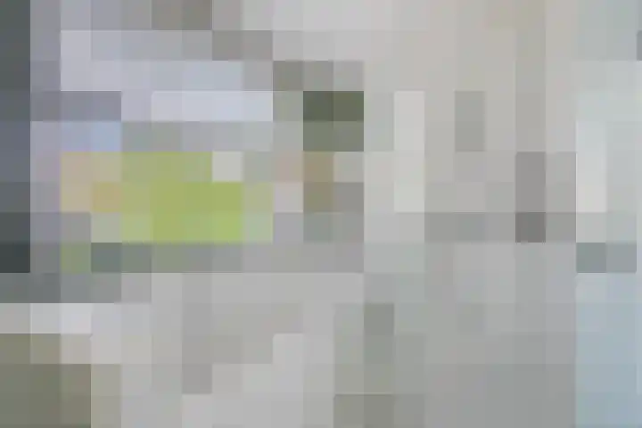 Lepelaar 1 Ouderkerk aan de Amstel thumbnail 18