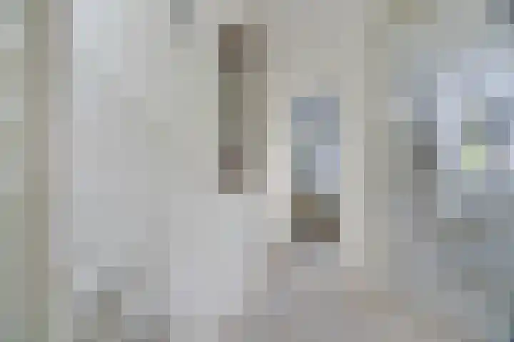 Lepelaar 1 Ouderkerk aan de Amstel thumbnail 21