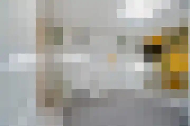 Lepelaar 1 Ouderkerk aan de Amstel thumbnail 27