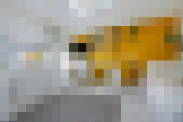 Lepelaar 1 Ouderkerk aan de Amstel thumbnail 28