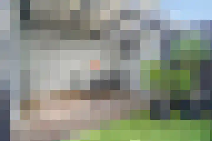 Lepelaar 1 Ouderkerk aan de Amstel thumbnail 36