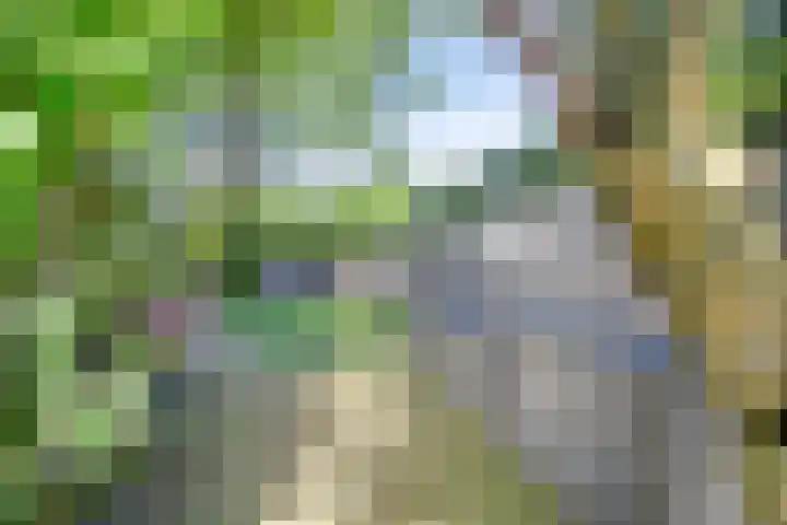 Lepelaar 1 Ouderkerk aan de Amstel thumbnail 37