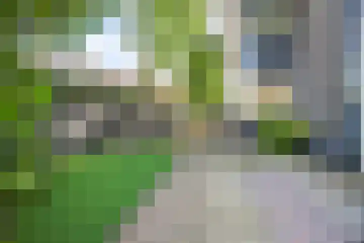 Lepelaar 1 Ouderkerk aan de Amstel thumbnail 40