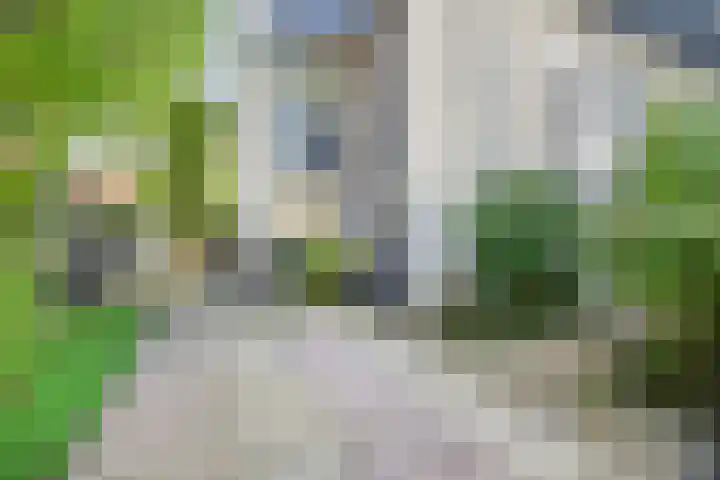 Lepelaar 1 Ouderkerk aan de Amstel thumbnail 41