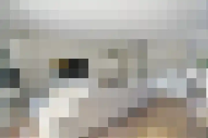 Lepelaar 1 Ouderkerk aan de Amstel thumbnail 5