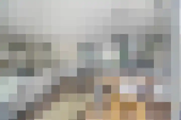Lepelaar 1 Ouderkerk aan de Amstel thumbnail 6