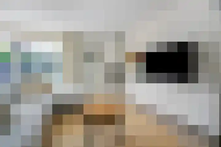 Lepelaar 1 Ouderkerk aan de Amstel thumbnail 8