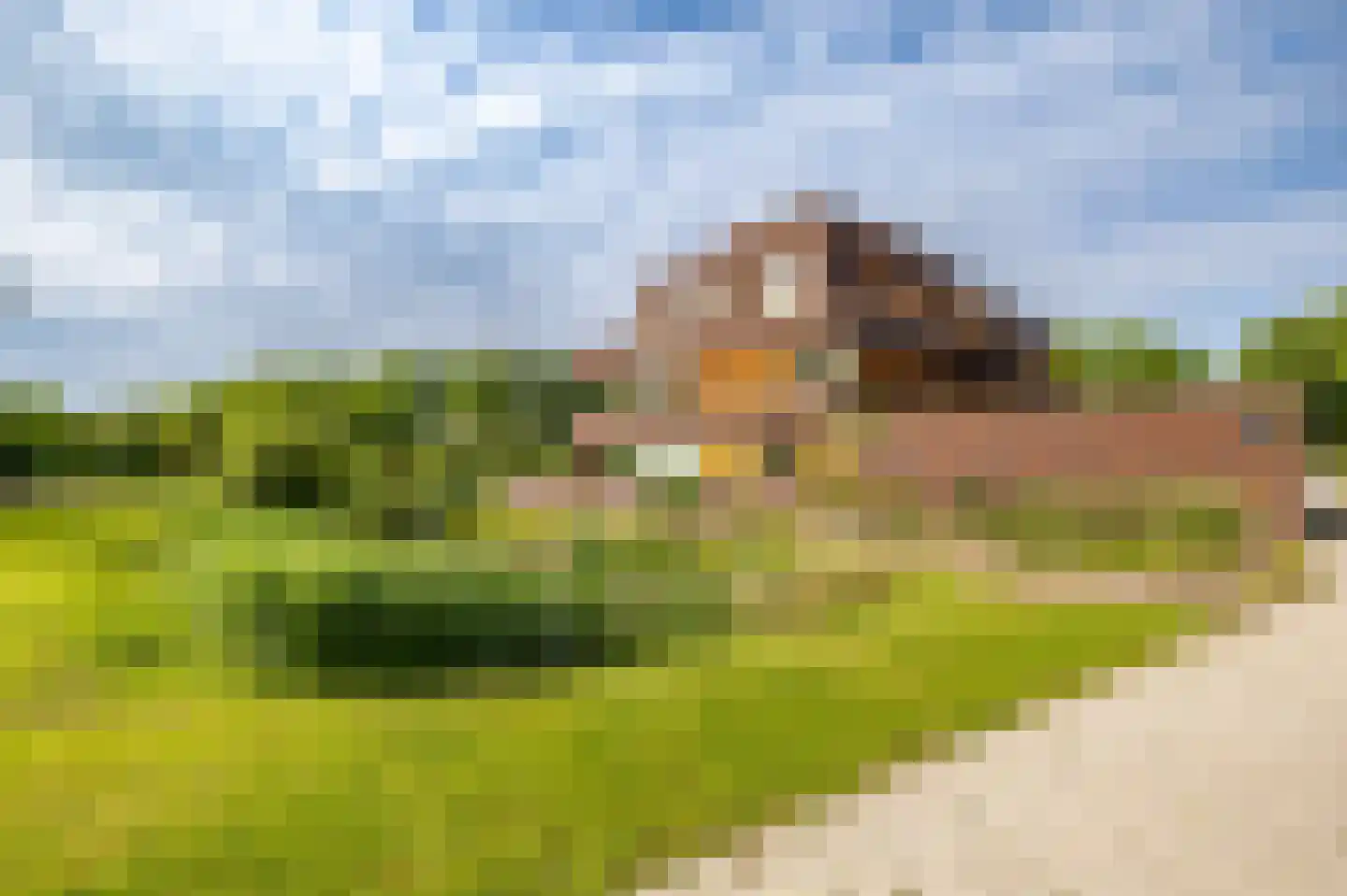 Lepelaar 102 Groningen thumbnail 12