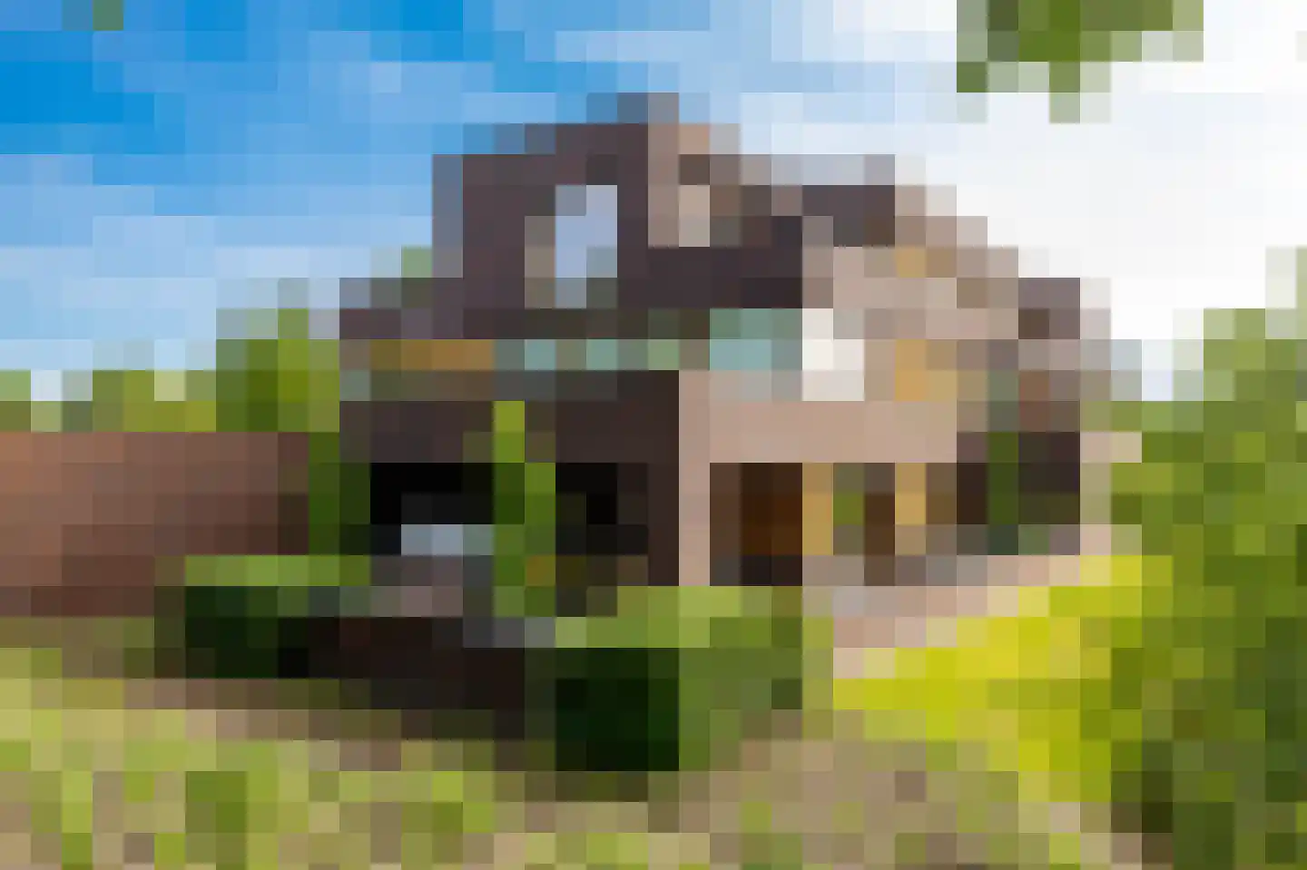 Lepelaar 102 Groningen thumbnail 4